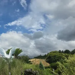 Jeju Loveland - Jeju