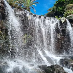Jeongbang Waterfall - Jeju