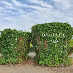 O’sulloc Tea Museum - Jeju