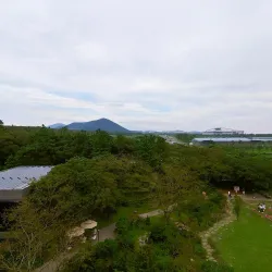 O’sulloc Tea Museum - Jeju