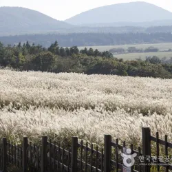 Sangumburi Crater - Jeju