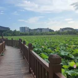 Deokjin Park - Jeonju