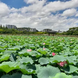 Deokjin Park - Jeonju