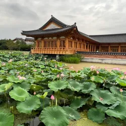 Deokjin Park - Jeonju