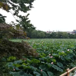 Deokjin Park - Jeonju