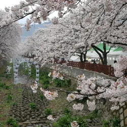 Anmin Park - Jinhae