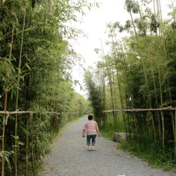 Daejeo Ecological Park - Jinhae