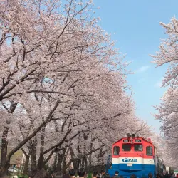 Gyeonghwa Station - Jinhae
