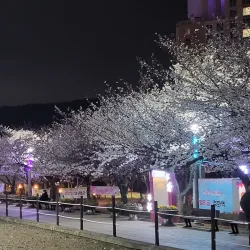 Gyeonghwa Station - Jinhae