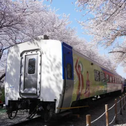 Gyeonghwa Station - Jinhae