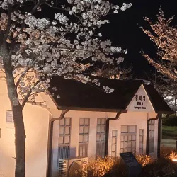 Gyeonghwa Station - Jinhae