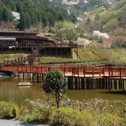 Jinhae Dream Park - Jinhae