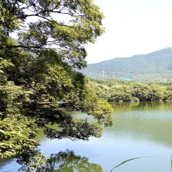 Jinhae Dream Park - Jinhae