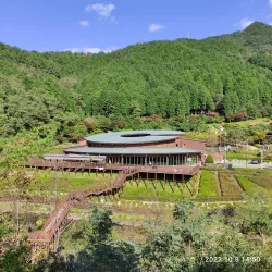 Jinhae Gunhangje Festival - Jinhae