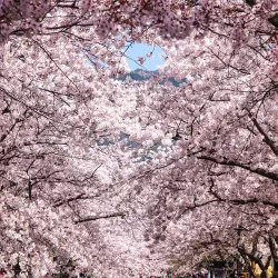 Yeojwacheon Stream - Jinhae