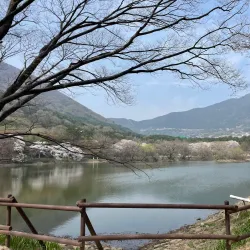 Yeojwacheon Stream - Jinhae