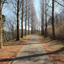 Gyeongsangnam-do Arboretum - Jinju