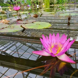Gyeongsangnam-do Arboretum - Jinju