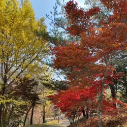 Gyeongsangnam-do Arboretum - Jinju