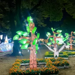 Jinju Lantern Festival - Jinju