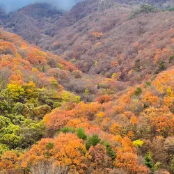 Cheonghakdong Valley - Miryang