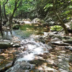 Cheonghakdong Valley - Miryang