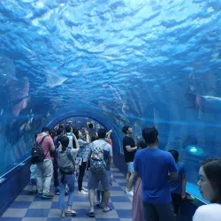 Jangsaengpo Whale Museum (nearby) - Miryang