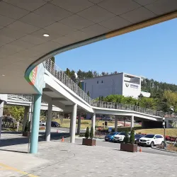 Miryang Arirang Festival - Miryang