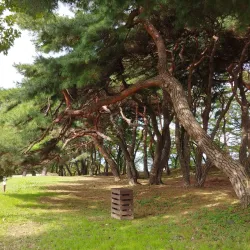 Seokbinggo (Stone Ice Storage) - Miryang