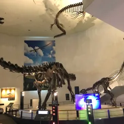 Mokpo Natural History Museum - Mokpo