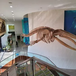 Mokpo Natural History Museum - Mokpo
