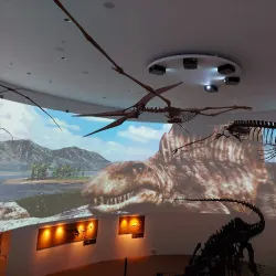 Mokpo Natural History Museum - Mokpo