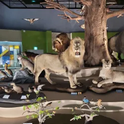 Mokpo Natural History Museum - Mokpo