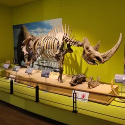 Mokpo Natural History Museum - Mokpo