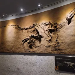 Mokpo Natural History Museum - Mokpo