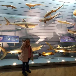 Mokpo Natural History Museum - Mokpo