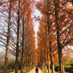 Naju Arboretum - Naju-si