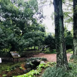 Naju Arboretum - Naju-si