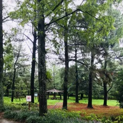 Naju Arboretum - Naju-si