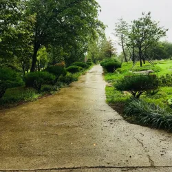 Naju Arboretum - Naju-si
