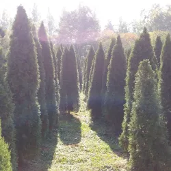 Naju Arboretum - Naju-si