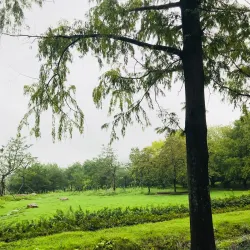 Naju Arboretum - Naju-si