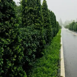 Naju Arboretum - Naju-si