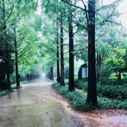 Naju Arboretum - Naju-si