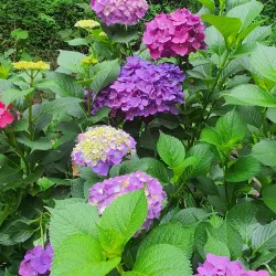 Naju Riverside Park - Naju-si