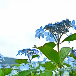 Naju Riverside Park - Naju-si