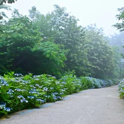 Naju Riverside Park - Naju-si