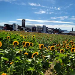 Naju Traditional Market - Naju-si