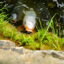 Gwanghallu Garden - Namwon