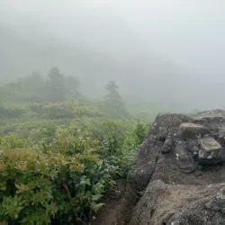 Jirisan National Park - Namwon